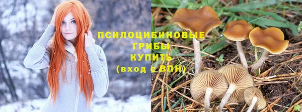 соль ск Алексин