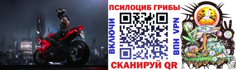 Купить  Сегежа  Псилоцибиновые грибы Psilocybine cubensis 