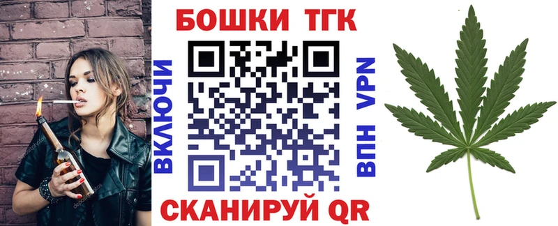 Бошки Шишки план Сегежа